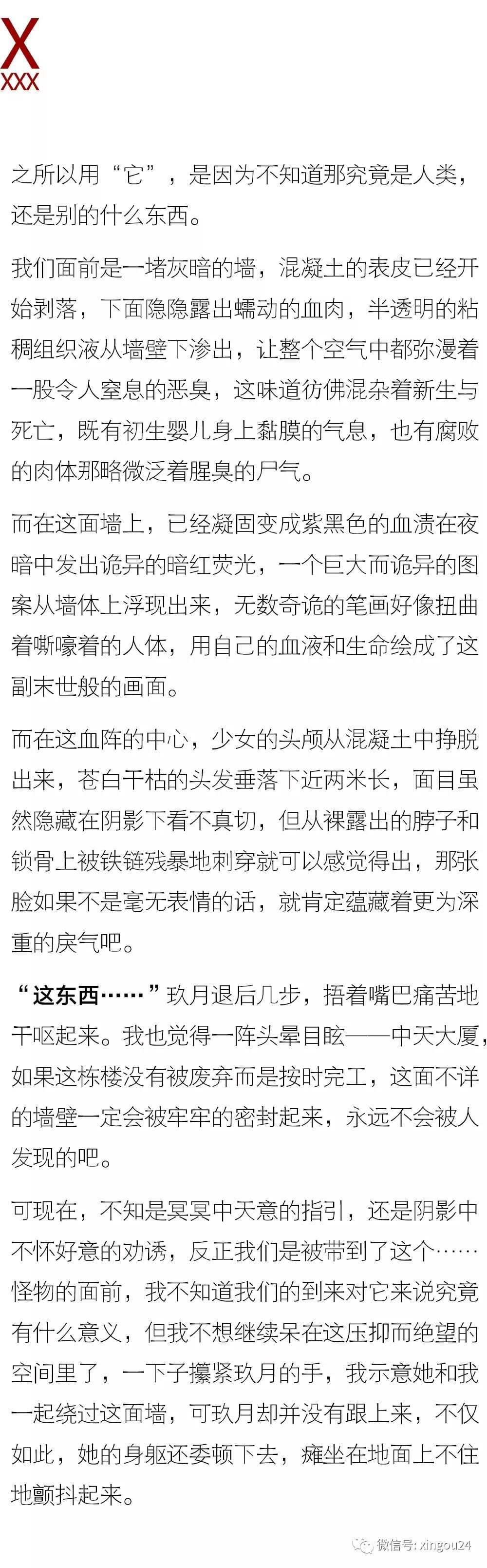 广东二八站限定版与经典解释的绝妙交融，经典解读与落实探讨