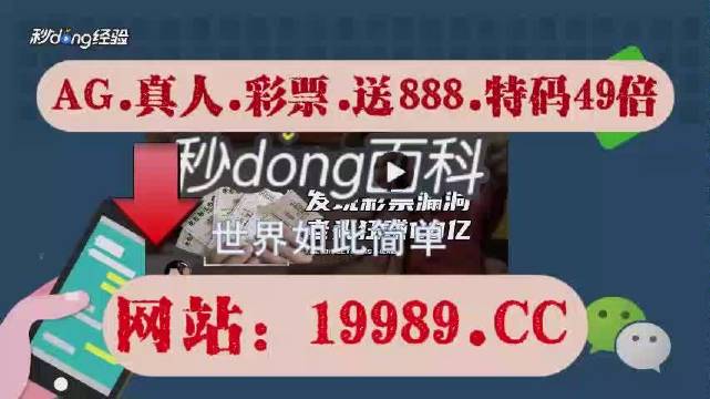 新澳门六开奖2024开奖记录查询与收益成语分析——限量版71.14，犯罪行为的深度剖析