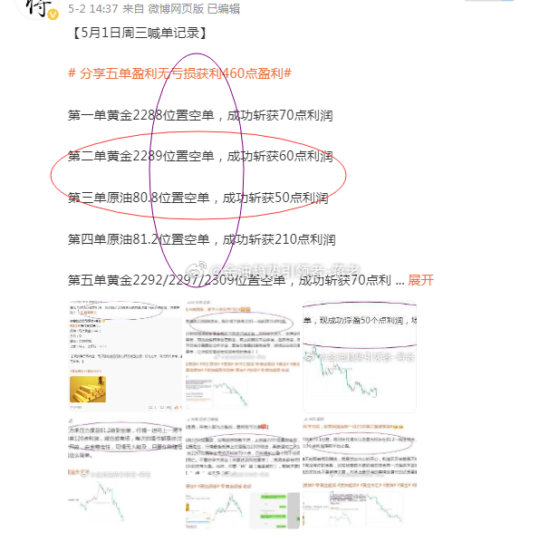 四虎论坛标准版深度解读，可靠策略分析