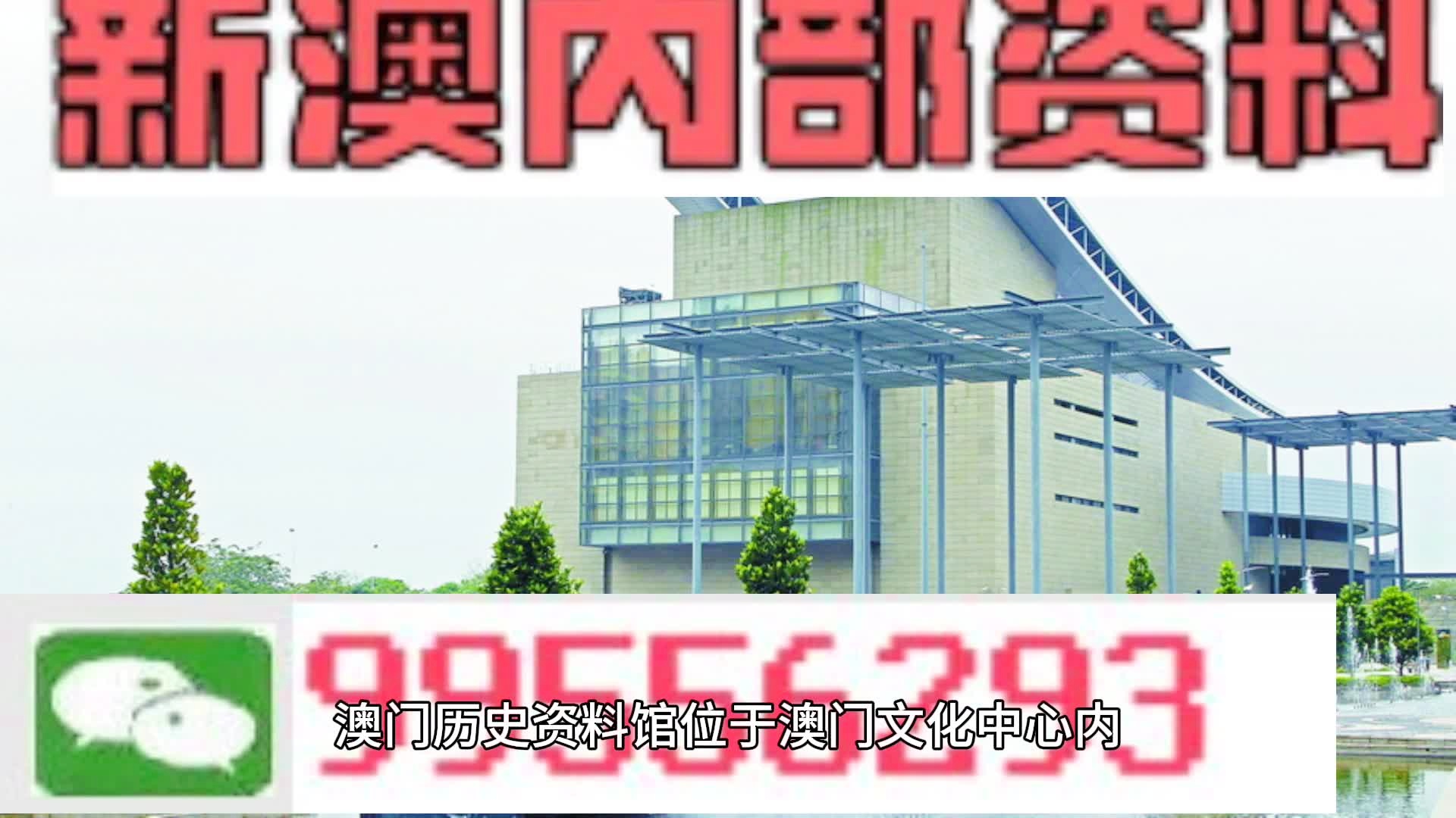 澳门最新资料免费公开，解析方法与展望至2024年（RX版深度解析）