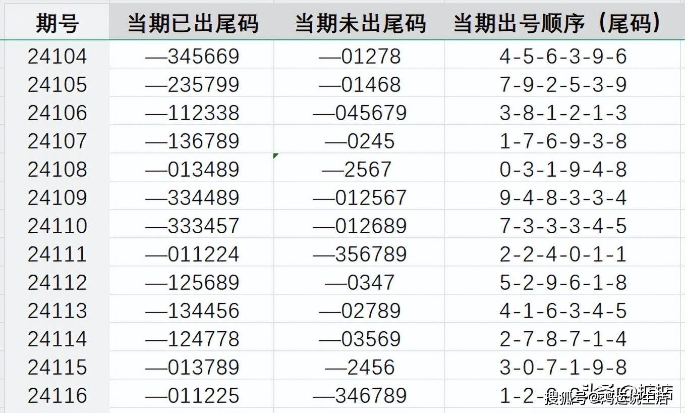 豪华彩票背后的策略与执行，王中王与二四六开奖策略深度解析