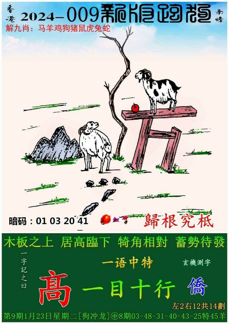 探索新版跑狗图，精细方案实施与zShop的独特魅力揭秘