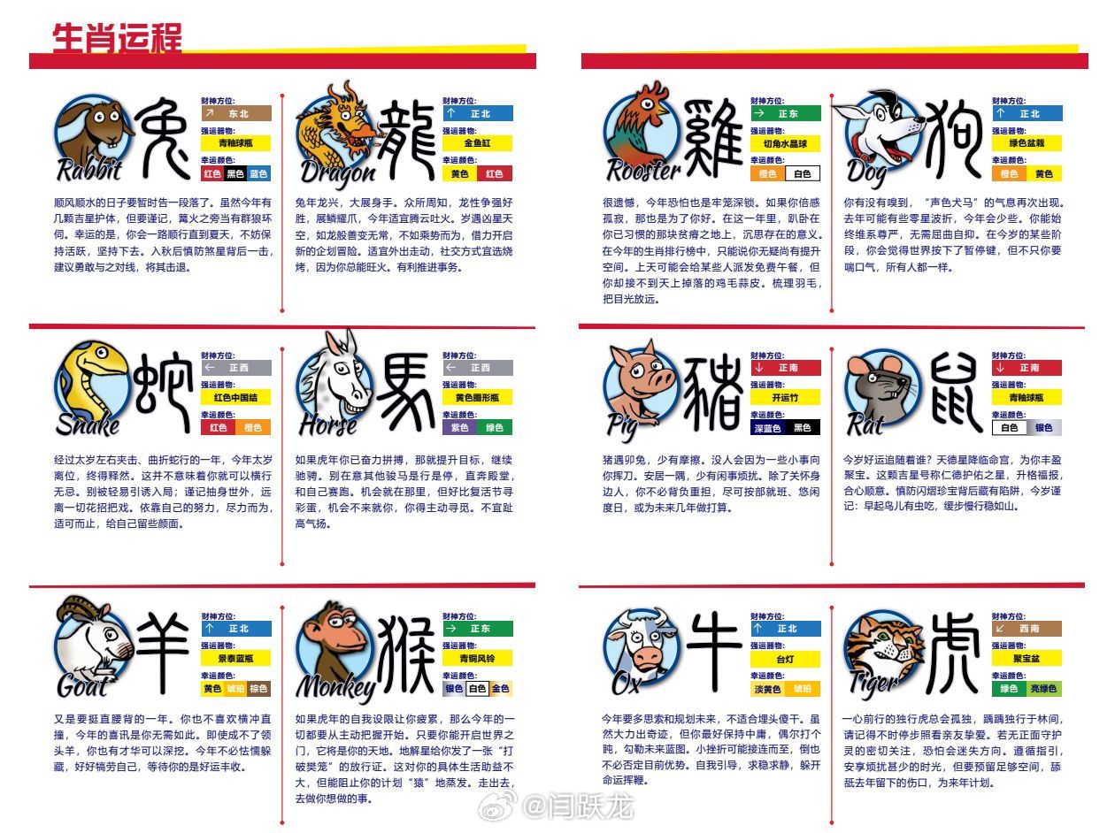 澳门十二生肖解析方案揭秘，灵活应对，展望2024年