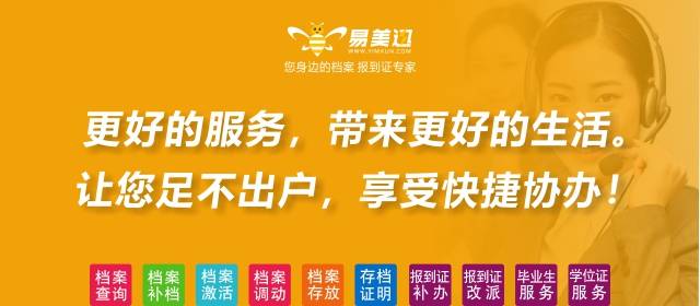 新奥精准稳料决策资料深度解析与尊享款价值揭秘，落实与解析报告