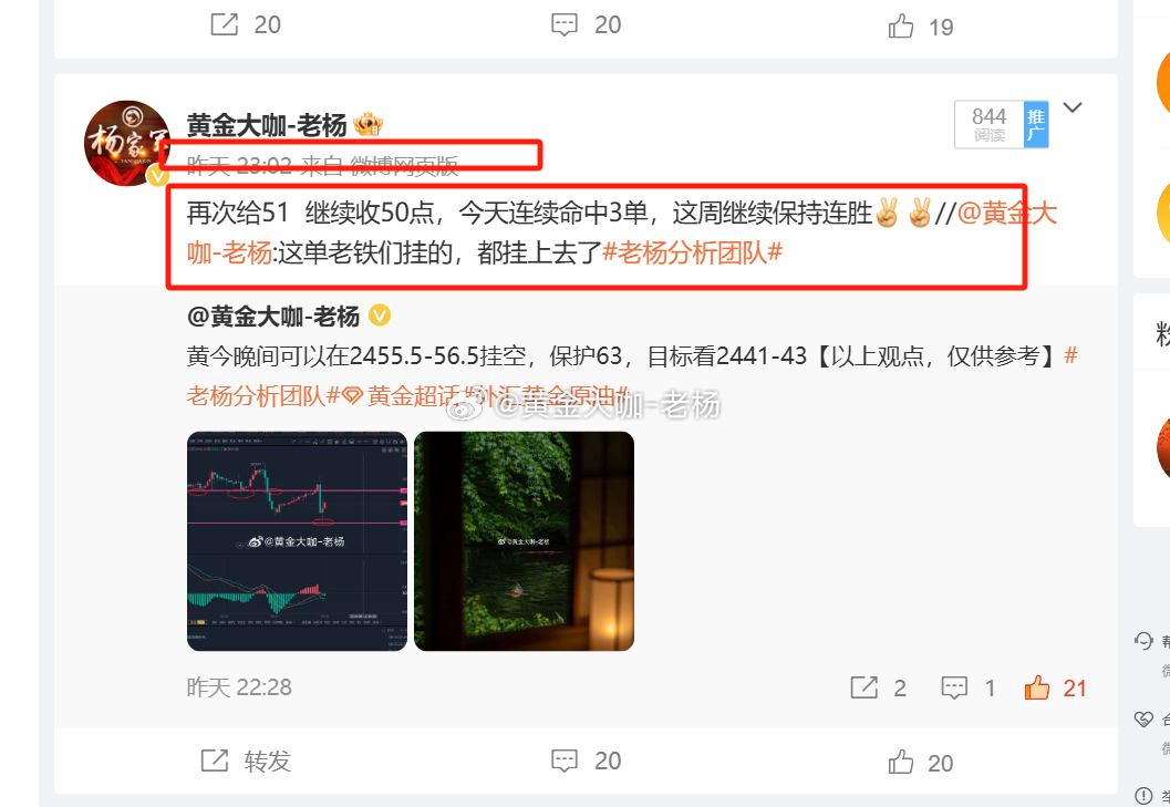 一肖100%中实践数据详解，ios46.987的解释与定义