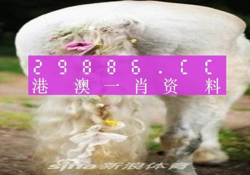 澳门精准一肖一码与网红版77.22背后的真相警示揭秘，网红解答背后的真相与警示