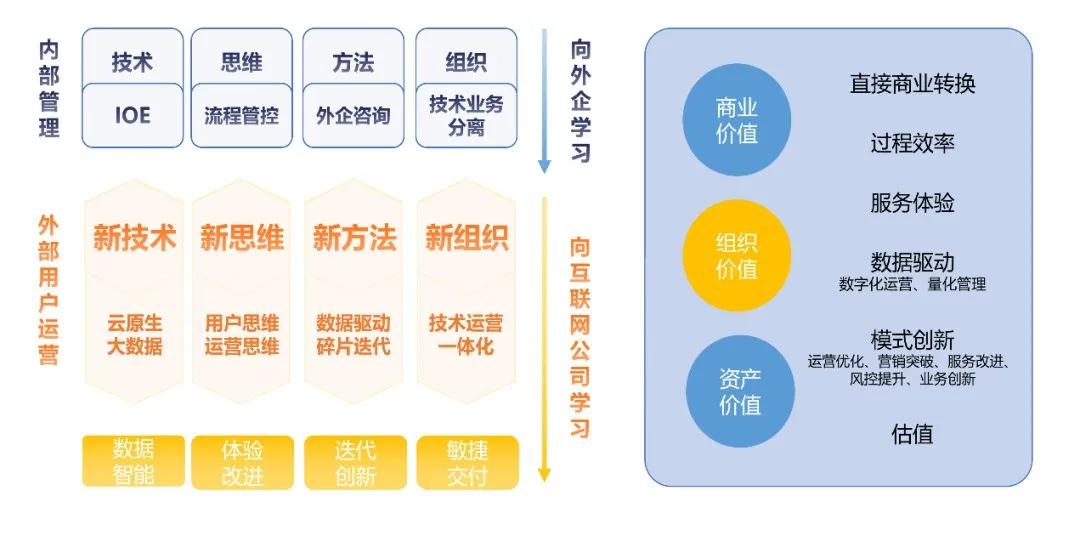 平特肖准一肖网站与数据执行方案深度解析，Gold24.304的独特视角