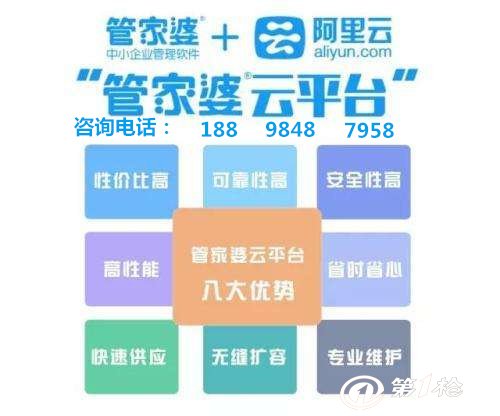 揭秘管家婆三肖V297.536，深度应用数据策略的潜力与优势分析