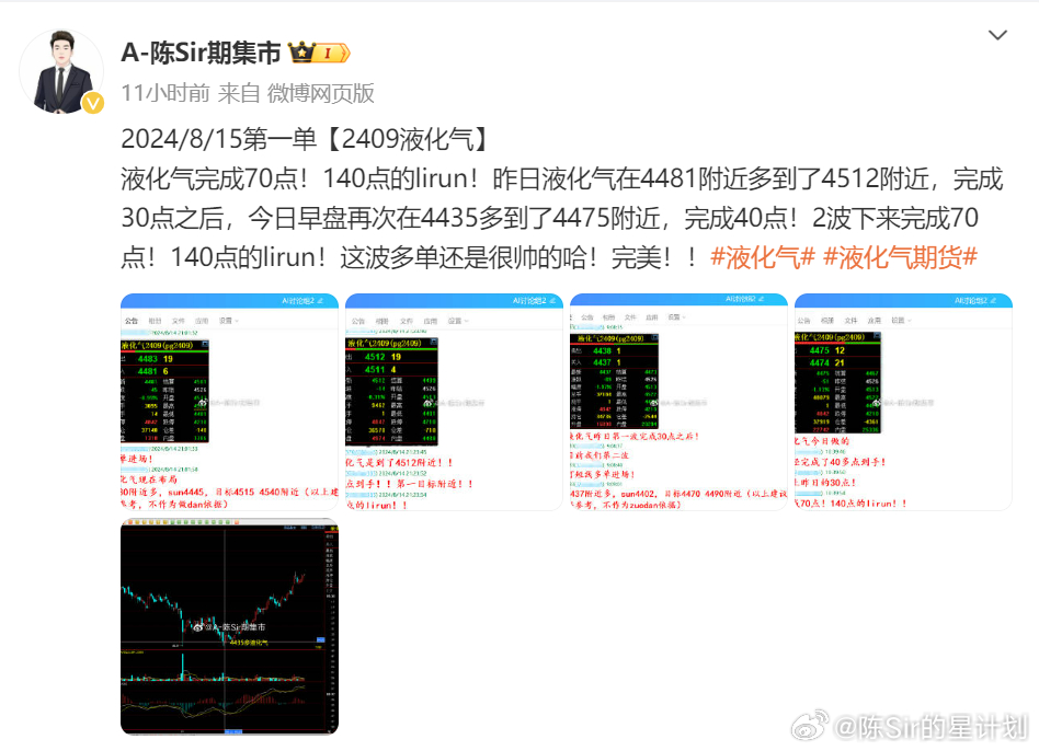 新奥2024一肖一码与持续计划解析，违法犯罪问题探讨