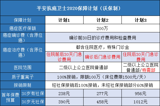 迈向未来，正版资料免费大全与快速计划设计解答的魅力展望2024年