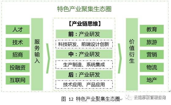 澳门特马与稳定性策略设计，探索nShop新机遇