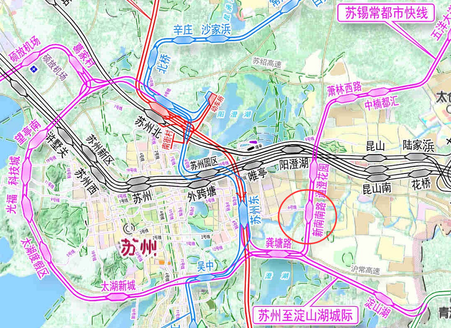 澳门生肖文化深度探索，实践性计划实施与精准预测聚焦四不像生肖