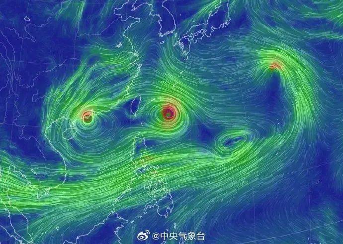 王中王期期准精选资料与实地分析数据设计研究报告 AP13.590揭秘