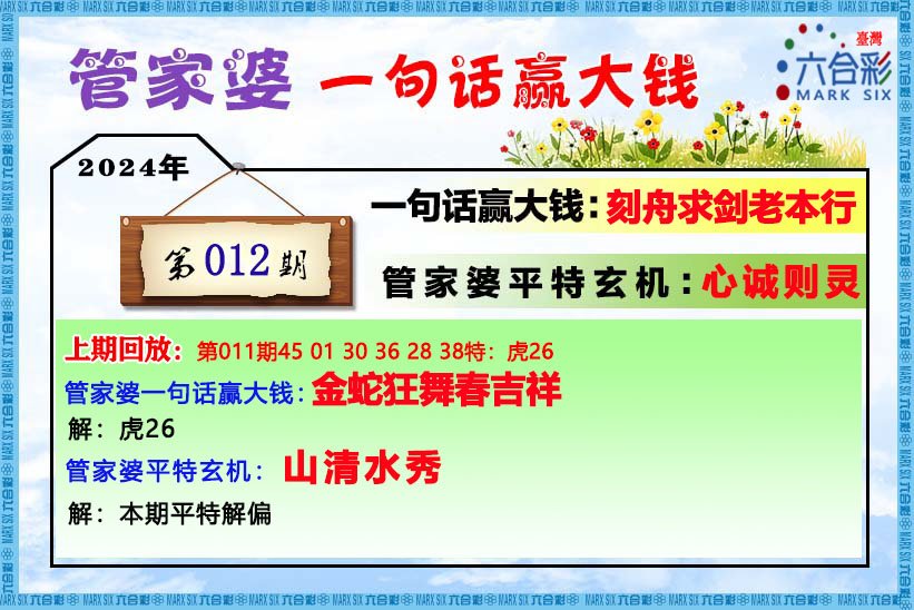 管家婆一肖一码资料详解与豪华款探讨，系统解答与解释落实