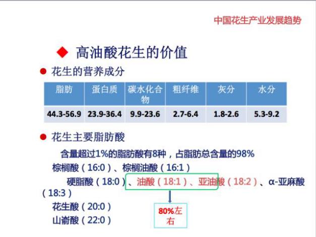 关于我们 第13页