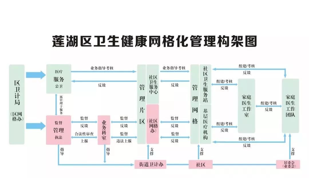 澳门资料解析与策略探讨（警惕犯罪风险）