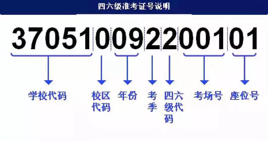 新奥马正版资料与iOS核心应用，快速设计解答计划揭秘