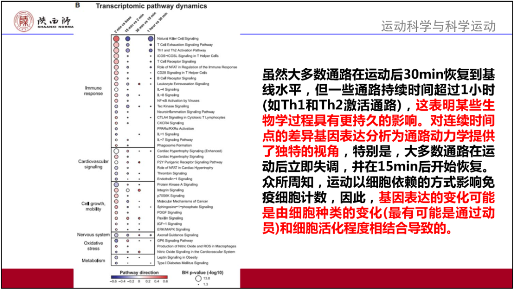 香港2024正版资料与效率资料定义的钱包版研究，深度解析与探索