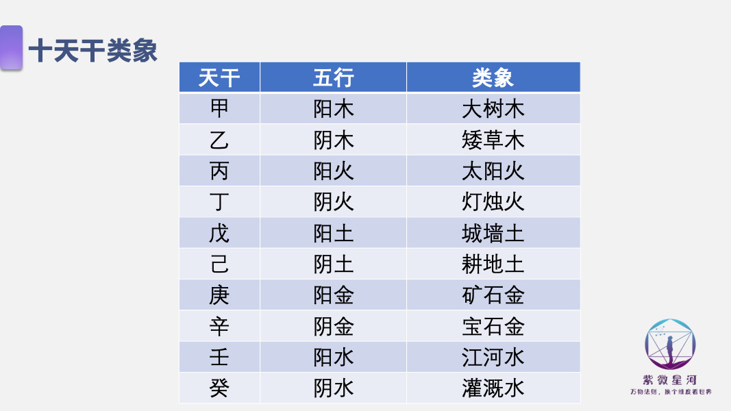 X版战略性方案优化深度解读，9点20一码包公开揭秘