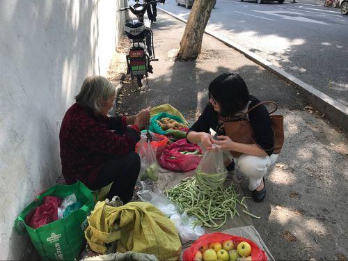 水果奶奶澳门深度解析，苹果价格背后的故事与可靠分析